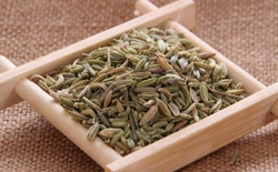 如何選擇茶葉包裝機(jī)廠家？選擇標(biāo)準(zhǔn)解析茶葉包裝機(jī)廠家。